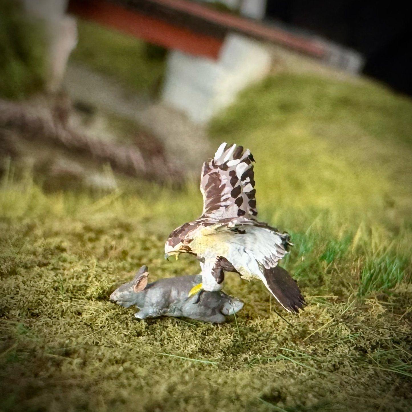 Hawk vs Rabbit