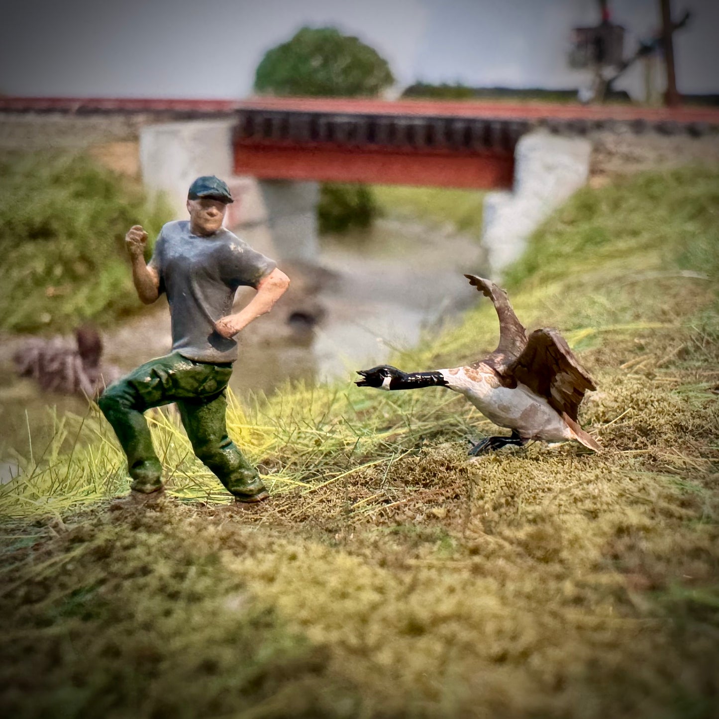 Goose Attacks