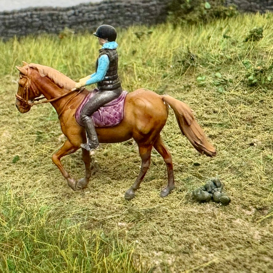 Horse miniscat (6)