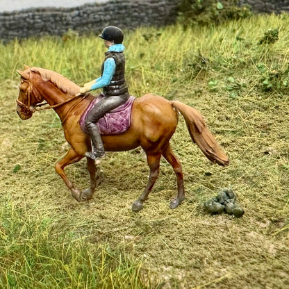 Horse miniscat (6)