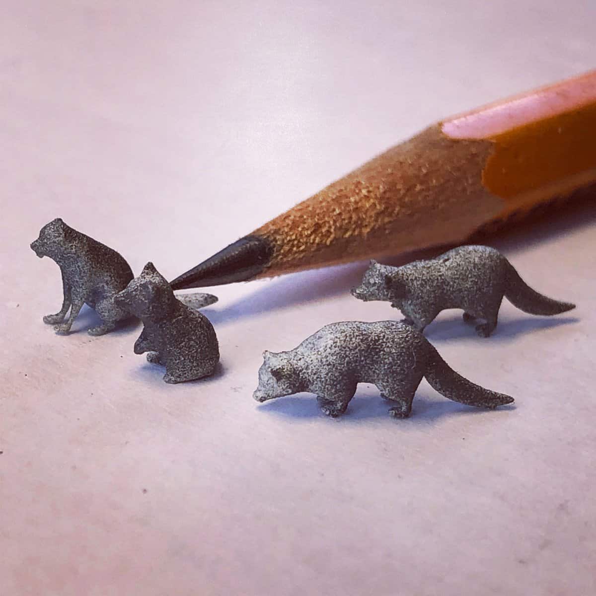 Raccoons – miniprints