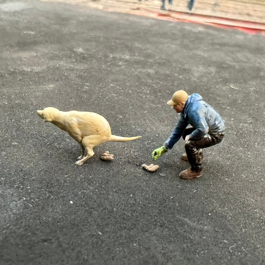 Dog miniscat (6)