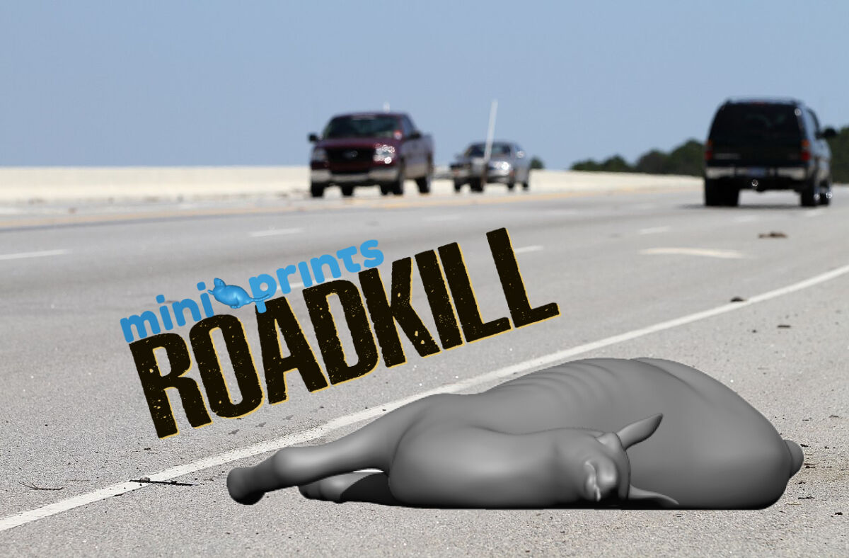 DeerRoadkill