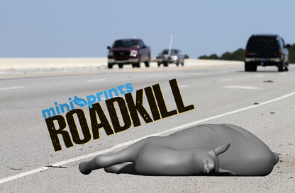 DeerRoadkill