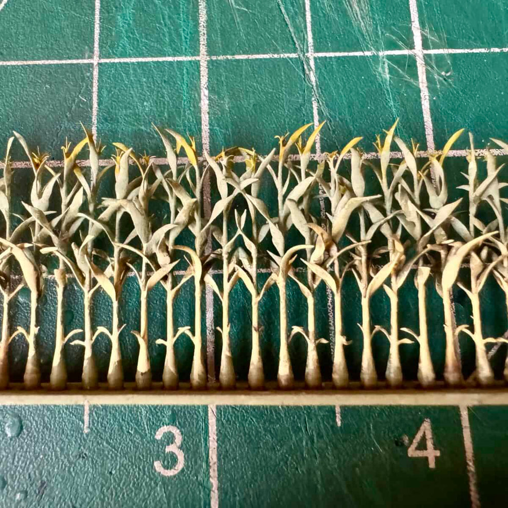 22 Inch Corn Rows Corn Rows (8) – miniprints