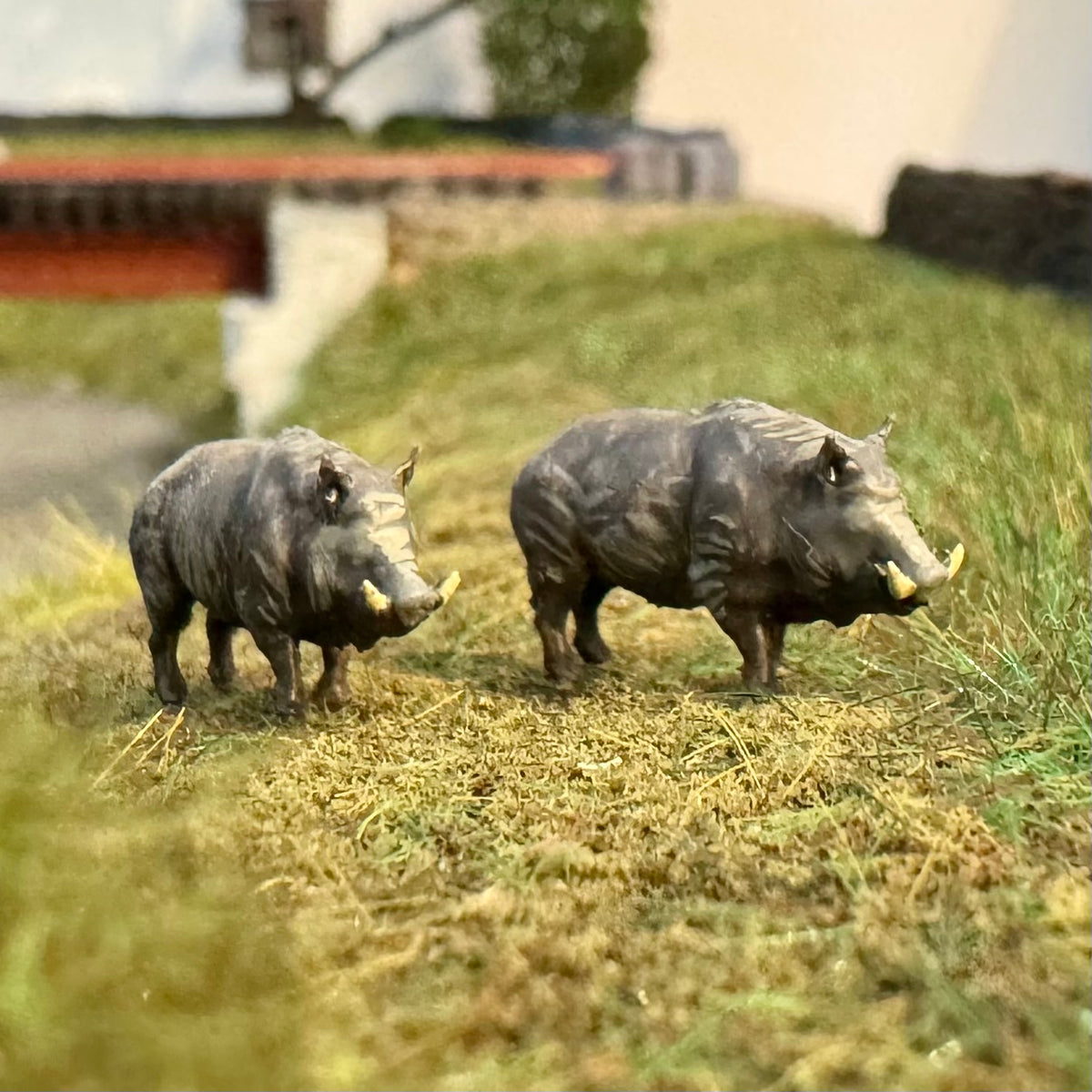 Wild Boars (2) – miniprints