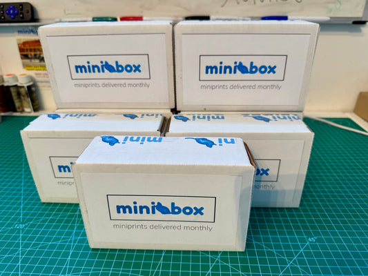 minibox monthly mystery box