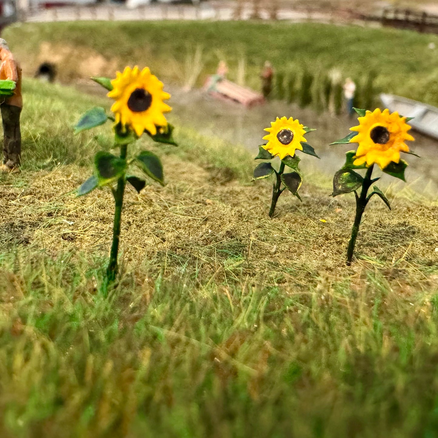 Sunflowers (4)