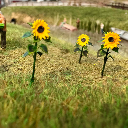 Sunflowers (4)