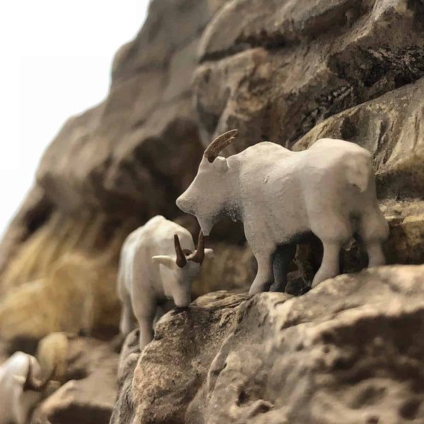 IMG_6154-scaled_grande.jpg?v=