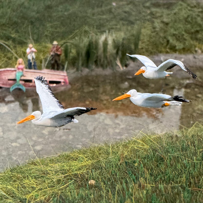 Flying Pelicans (3)