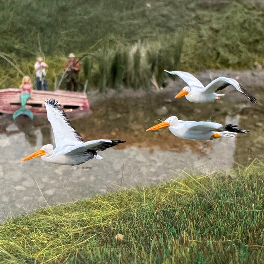 Flying Pelicans (3)