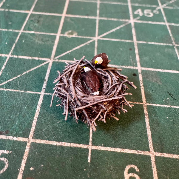 Bald Eagle Nest