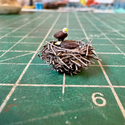 Bald Eagle Nest