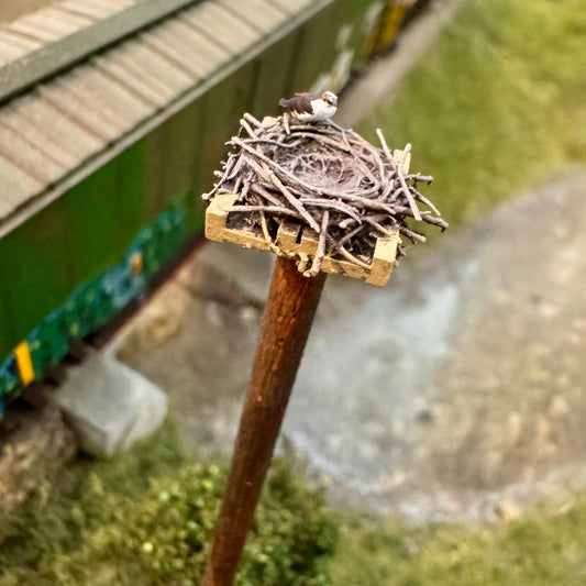 Osprey Nest