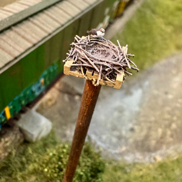 Osprey Nest
