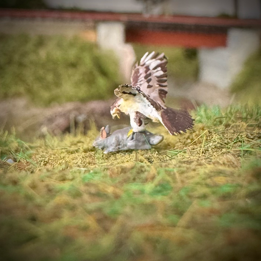 Hawk vs Rabbit