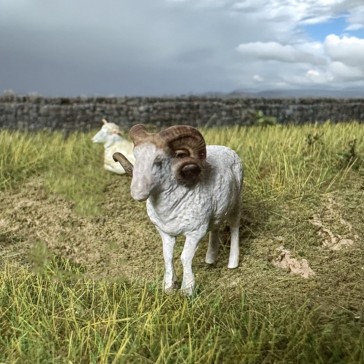 Ram – miniprints