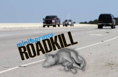 RaccoonRoadkill