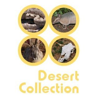 desert_ecosystems