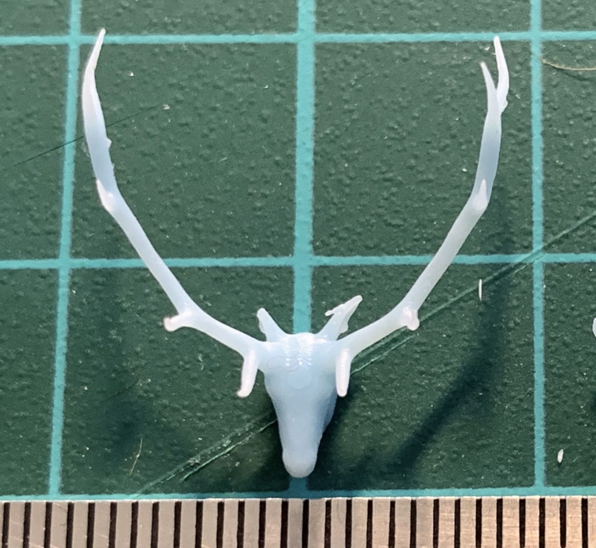 elkantlers