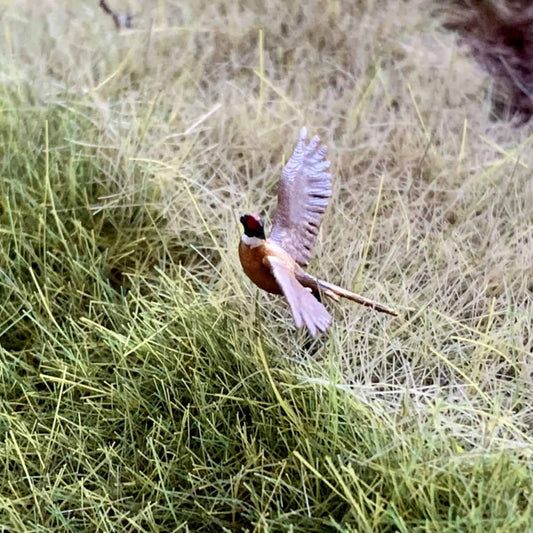 flyingpheasant