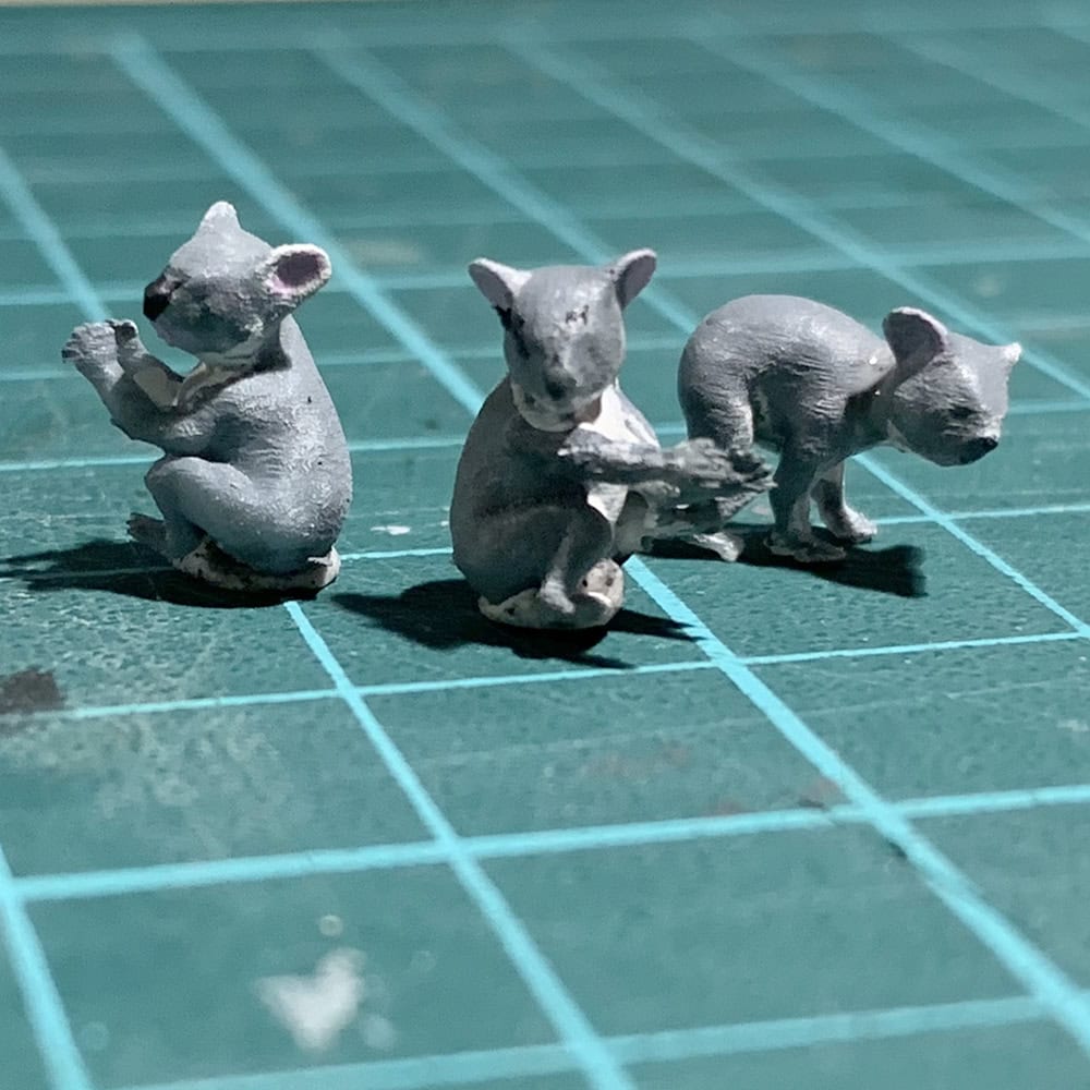 koalas