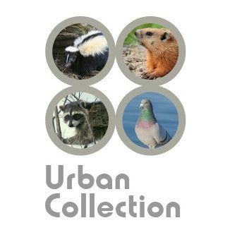 urban_ecosystems