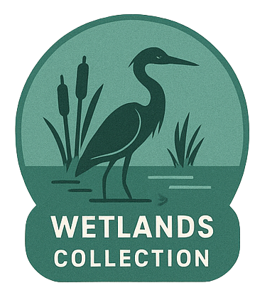 Wetlands Collection